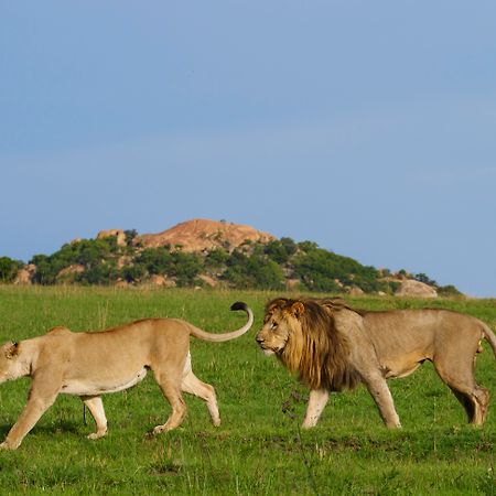 Nkomazi Game Reserve By Newmark 巴德普拉斯 外观 照片