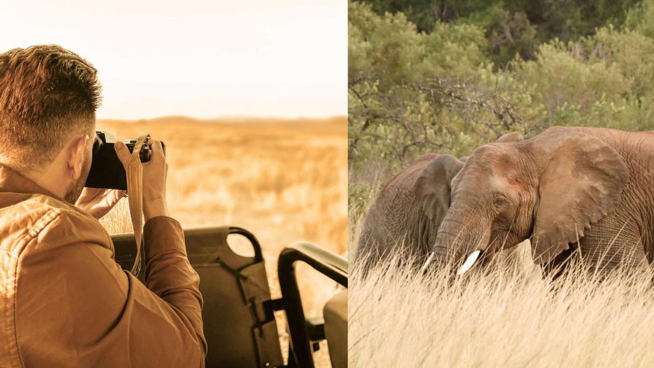Nkomazi Game Reserve By Newmark 巴德普拉斯 外观 照片