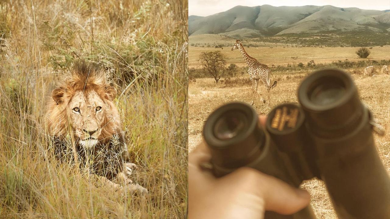 Nkomazi Game Reserve By Newmark 巴德普拉斯 外观 照片